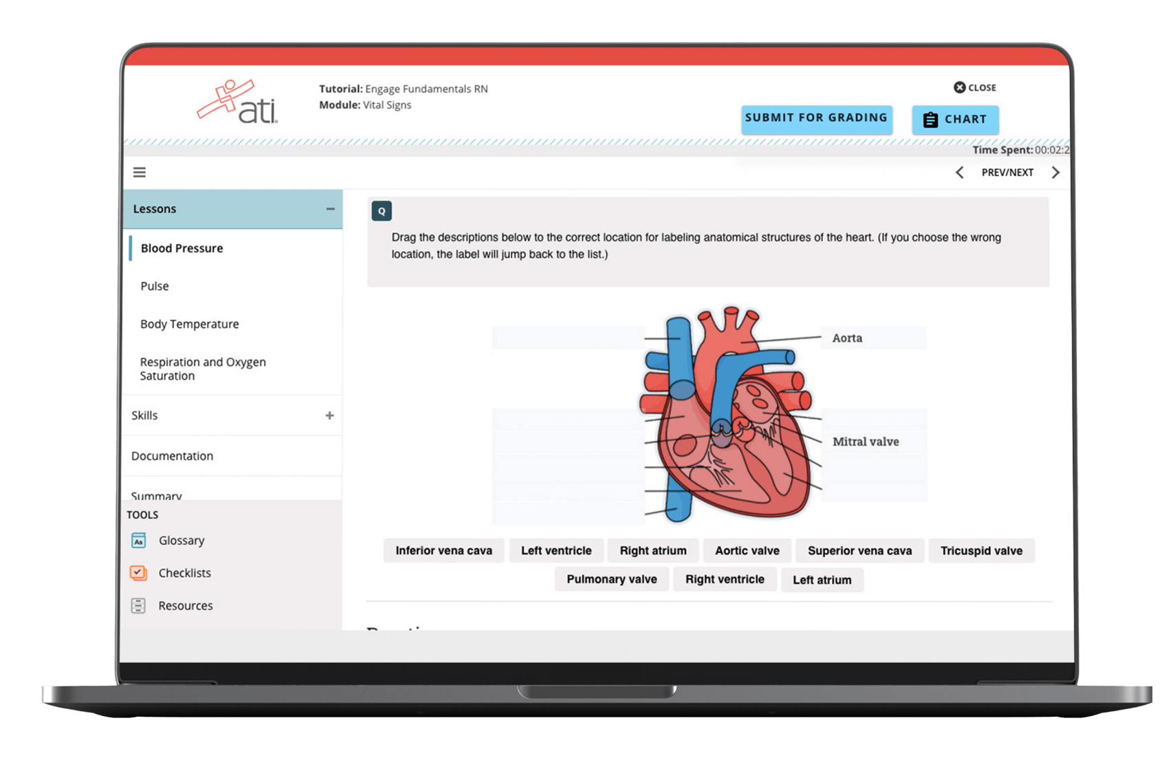 ATI RN Fundamentals practice questions
